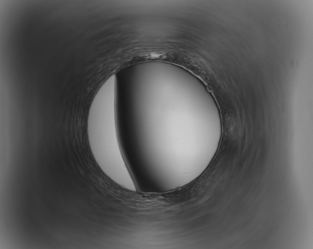 X0000089971442200706291056