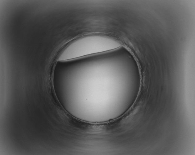 X0000089971453200706291056