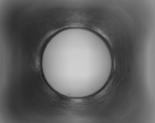 X0000089971454200706291056
