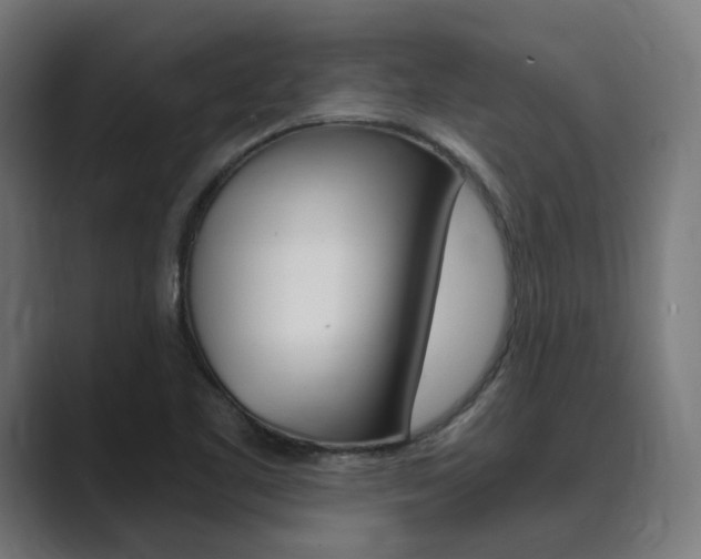 X0000089971461200706291056