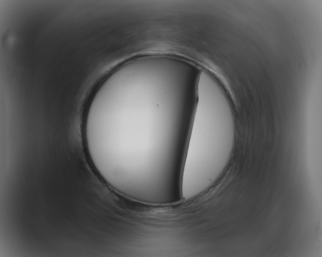 X0000089971464200706291056