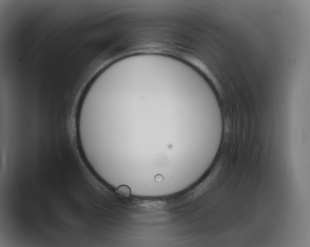X0000089971466200706291055