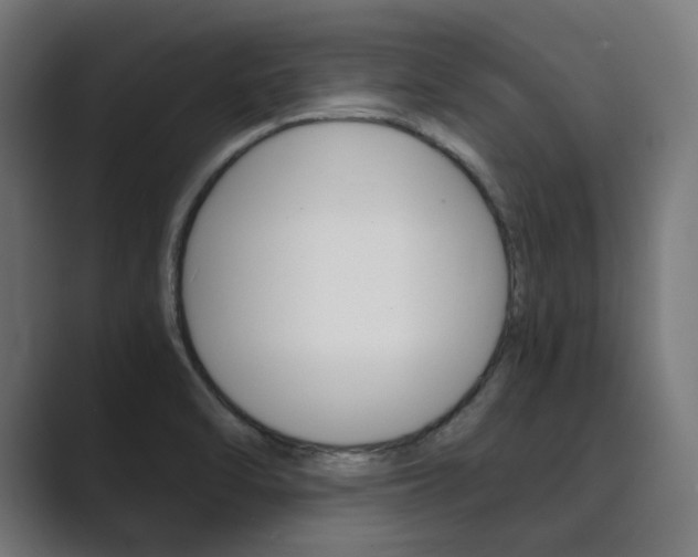 X0000089971470200706291055