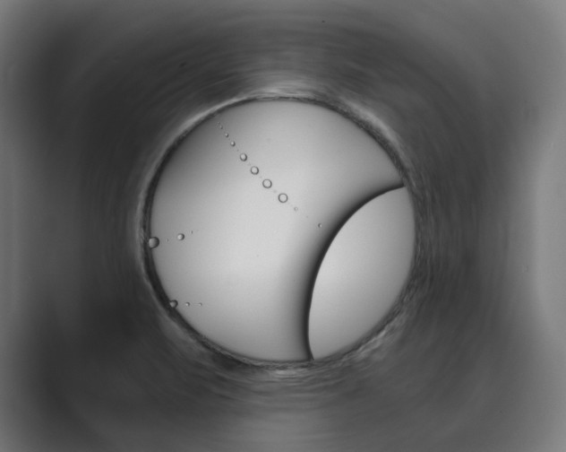 X0000089971471200706291055