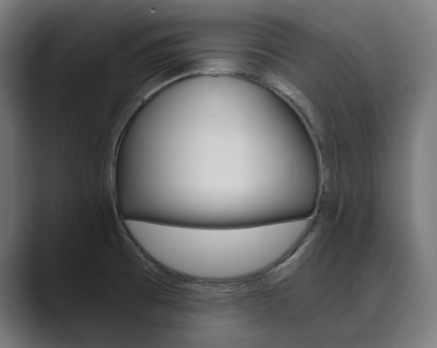 X0000089971473200706291055