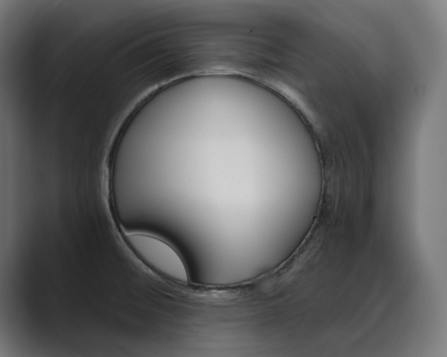 X0000089971476200706291055