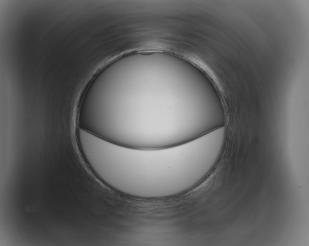 X0000089971477200706291055
