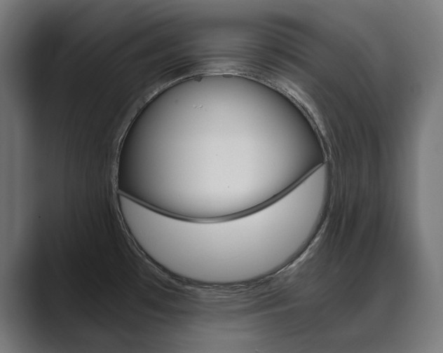 X0000089971481200706291055