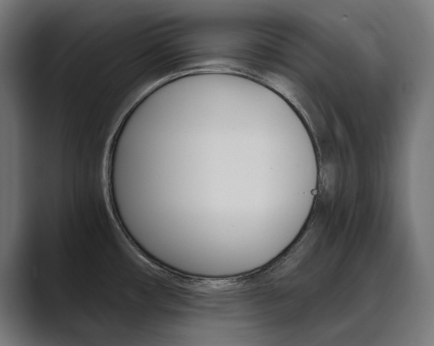 X0000089971482200706291055