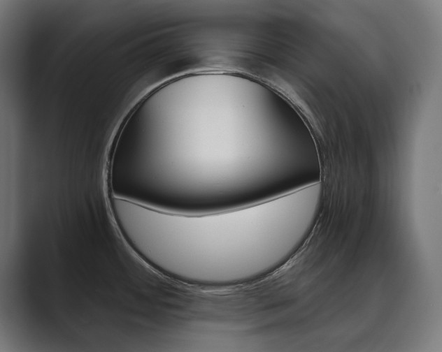 X0000089971484200706291055