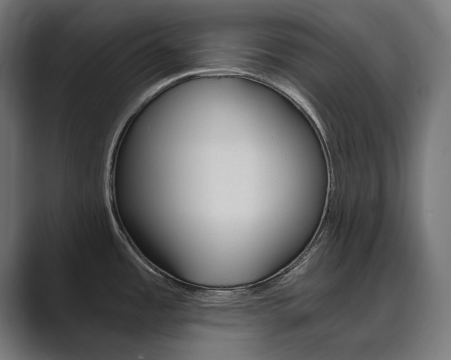 X0000089971485200706291055