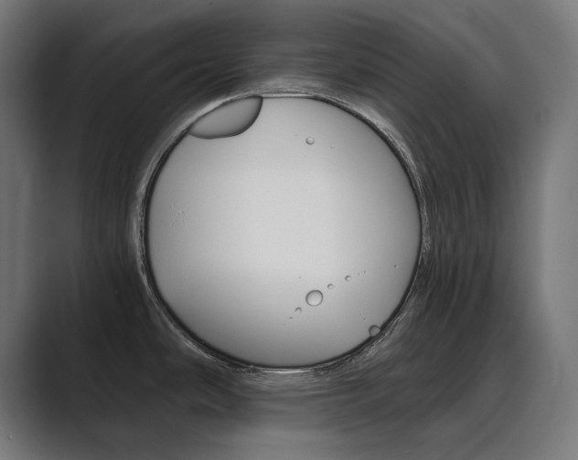 X0000089971486200706291055