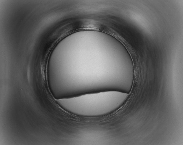 X0000089971487200706291055