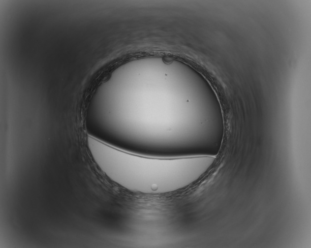 X0000089971494200706291055