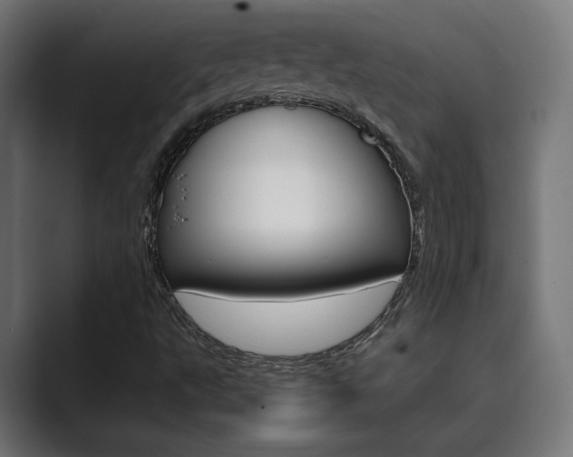 X0000089971495200706291055