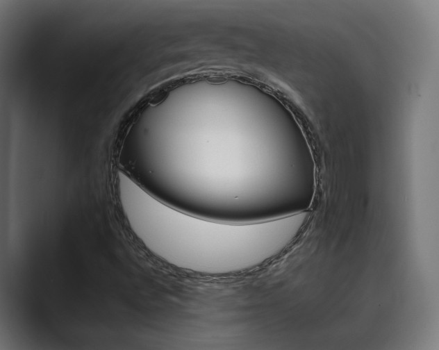 X0000089971496200706291055
