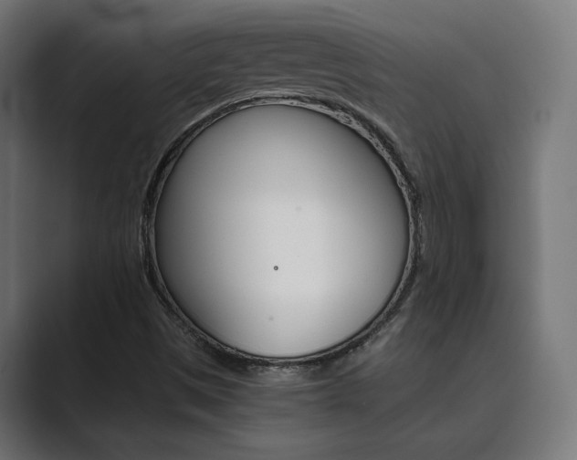 X0000089971497200706291055