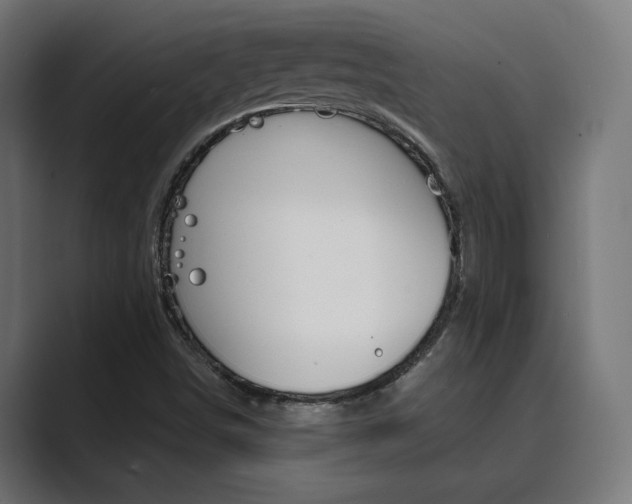 X0000089971498200706291055