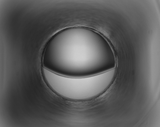 X0000089971500200706291055