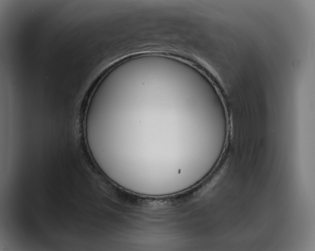 X0000089971501200706291055