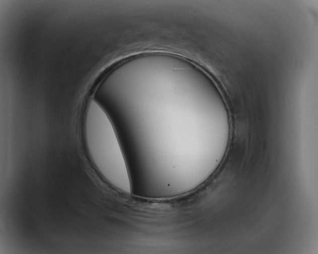 X0000089971503200706291055