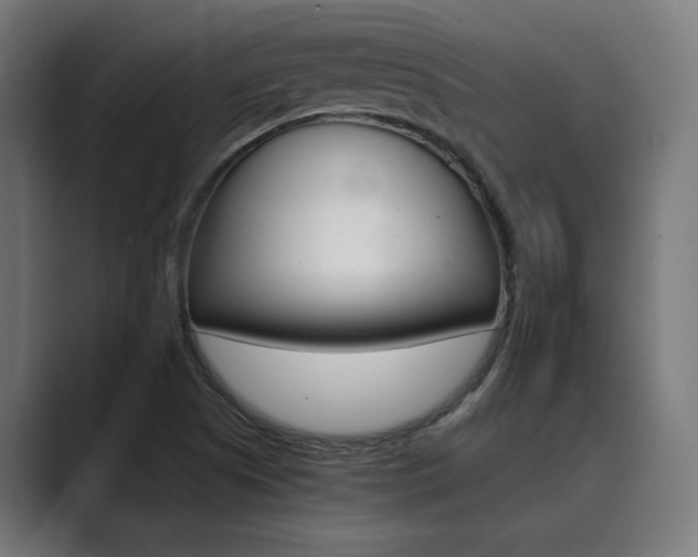 X0000089971505200706291055