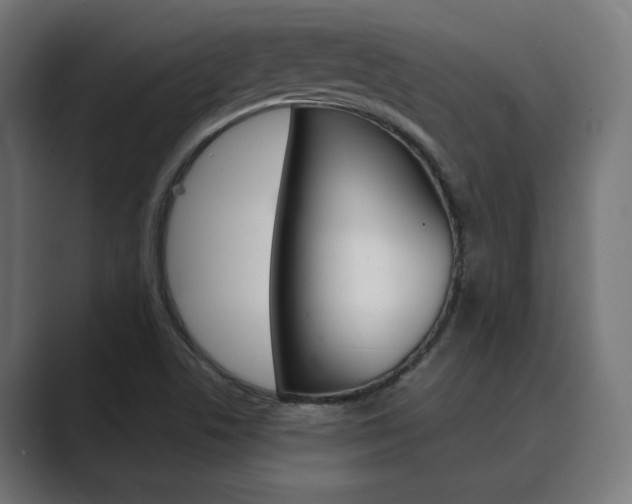 X0000089971506200706291055