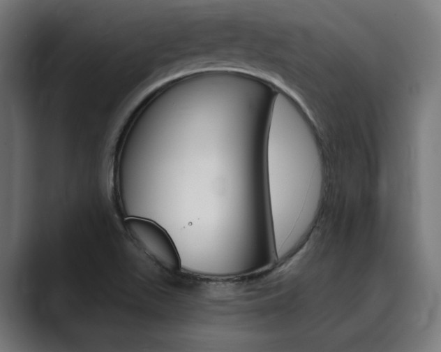 X0000089971511200706291055