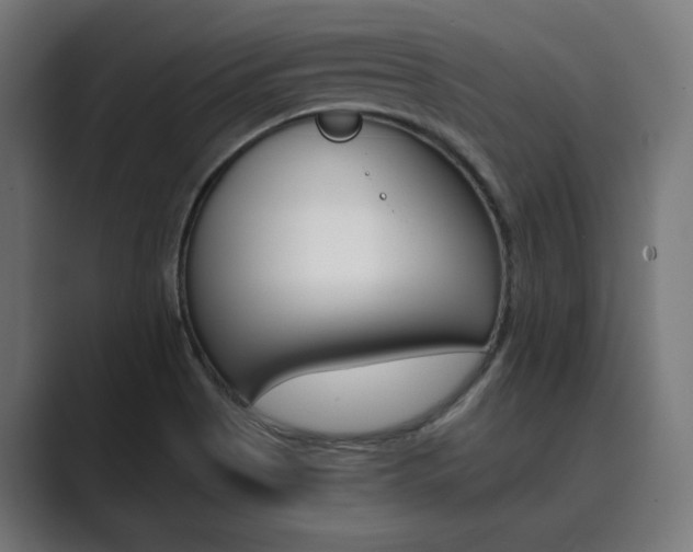 X0000089971513200706291055
