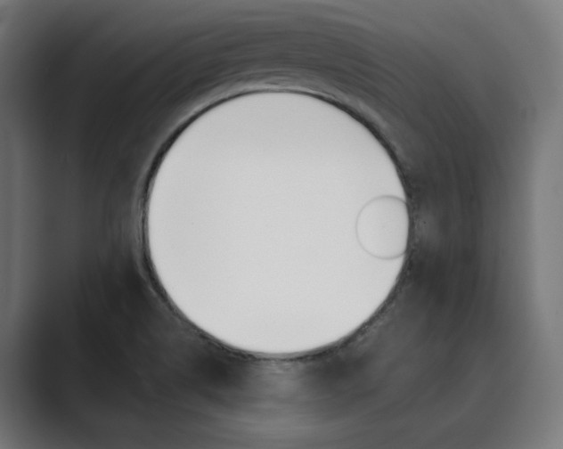 X0000089971514200706291055
