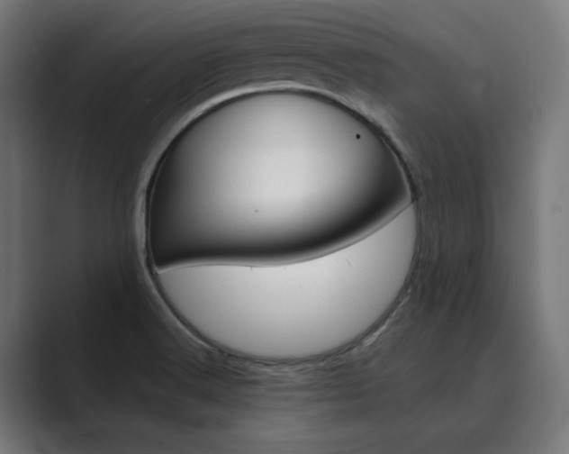 X0000089971516200706291055
