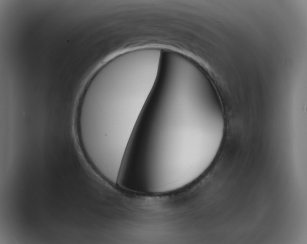 X0000089971518200706291055