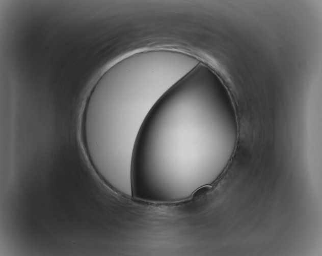X0000089971520200706291055