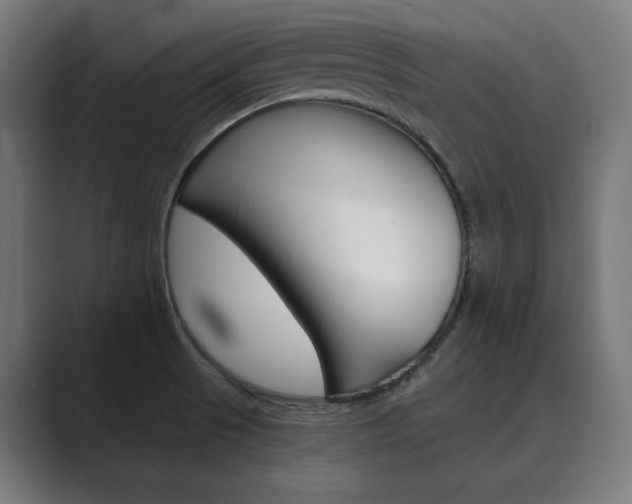X0000089971521200706291055