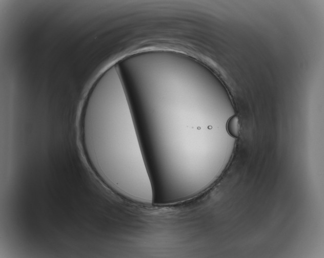 X0000089971522200706291055