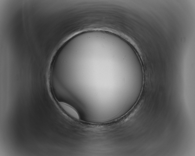 X0000089971525200706291055