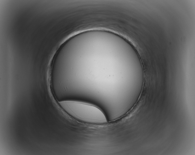 X0000089971526200706291055