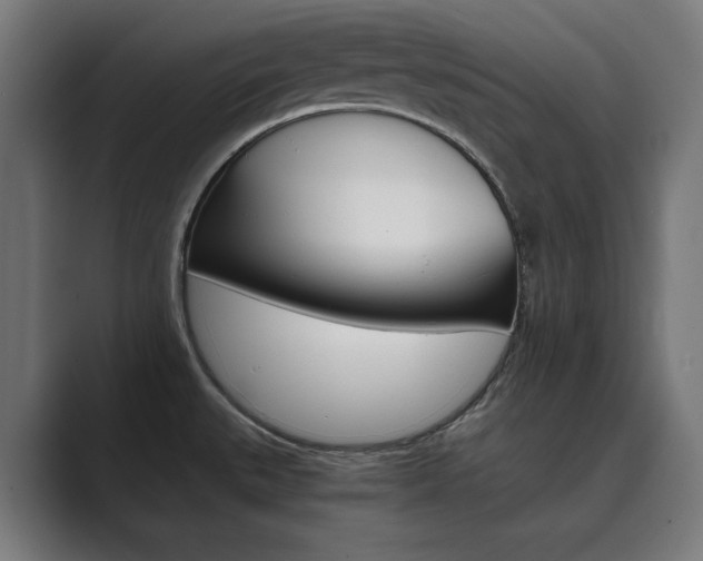 X0000089971527200706291055