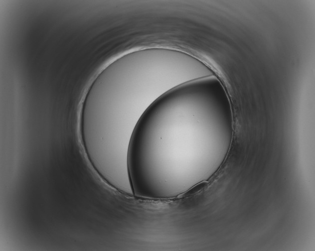 X0000089971528200706291055