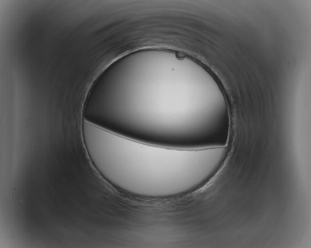 X0000089971529200706291055