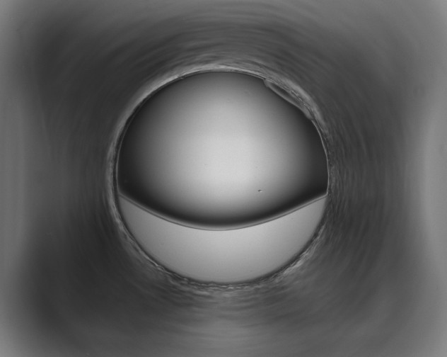 X0000089971530200706291055