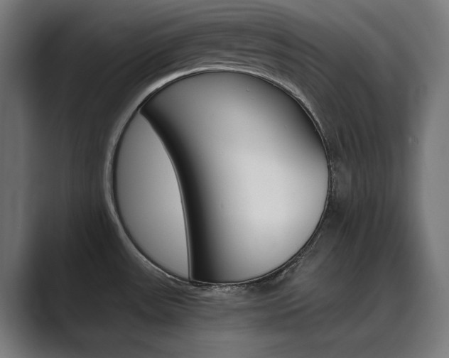 X0000089971531200706291055