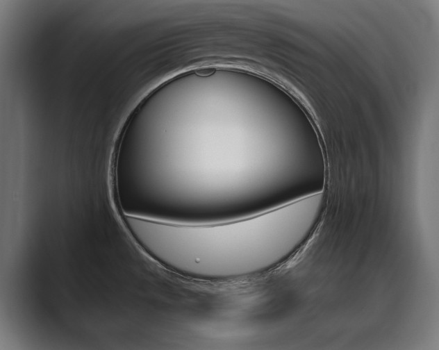 X0000089971533200706291055