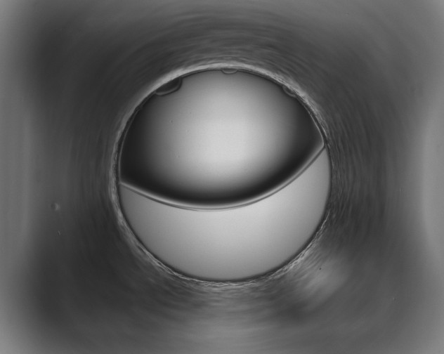 X0000089971534200706291055
