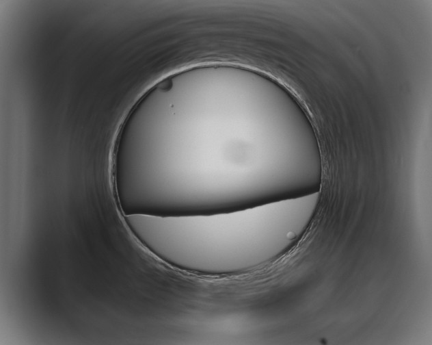 X0000089971535200706291055