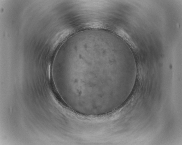 X0000089970014200706291358