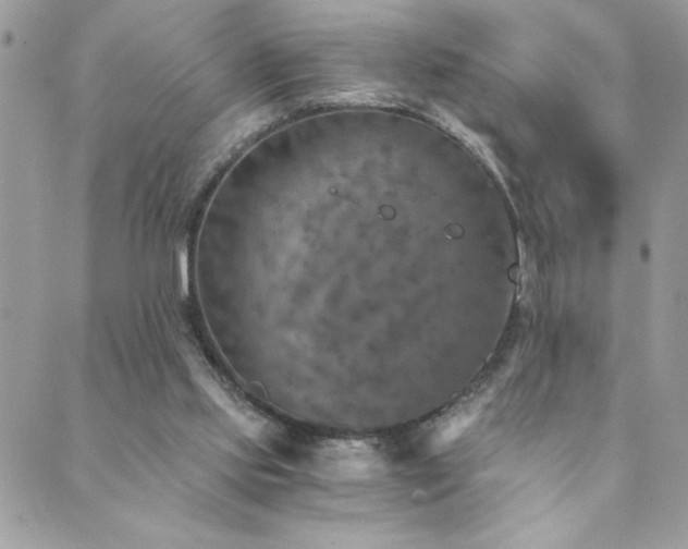 X0000089970061200706291357