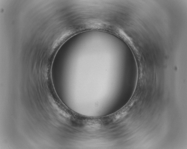 X0000089970106200706291356