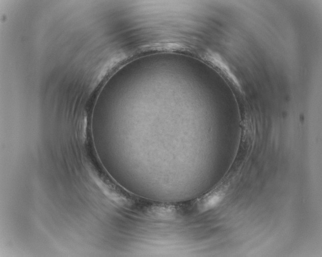 X0000089970110200706291356