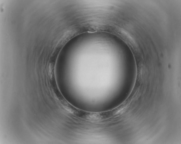 X0000089970121200706291356